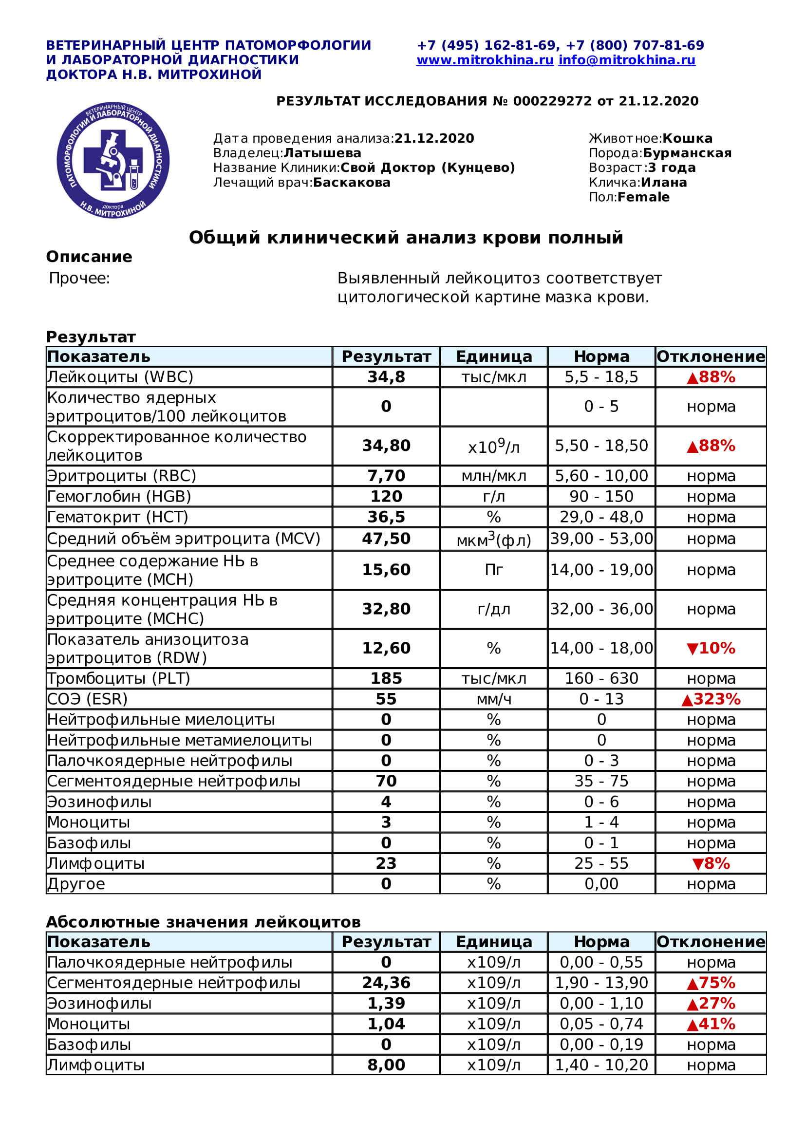 Что такое общий клинический анализ. Что такое общий клинический анализ. Что такое общий клинический анализ. Что такое общий клинический анализ. Что такое общий клинический анализ.