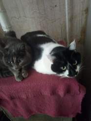 IMG-20220122-WA0001.jpg