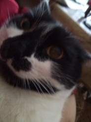 IMG_20220122_103151.jpg