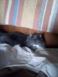 IMG-20220306-WA0012.jpg