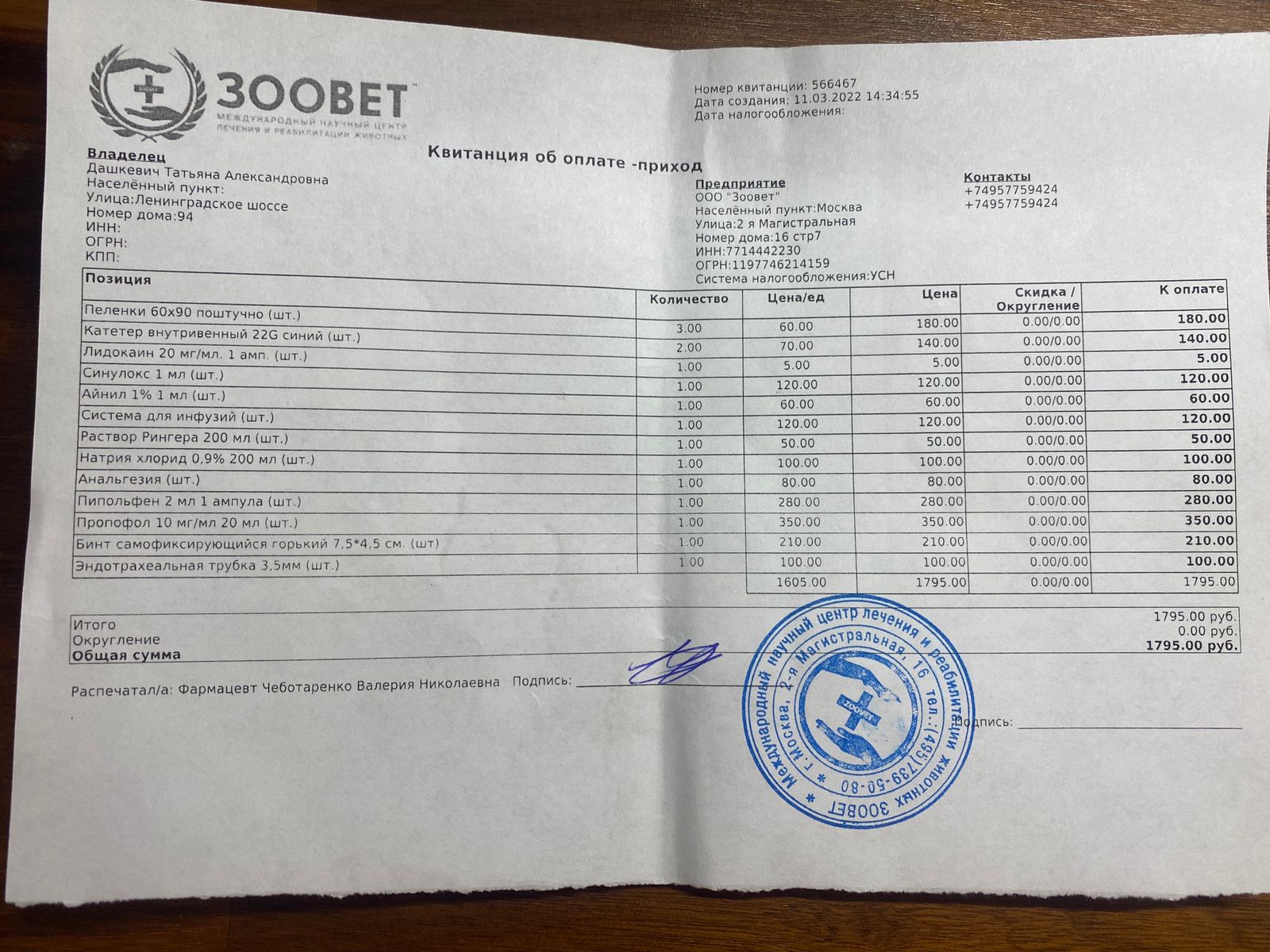 Рыжий кот подранок. Спасать или дать умереть? - Пристроенные кошки - Форум  Пес и Кот