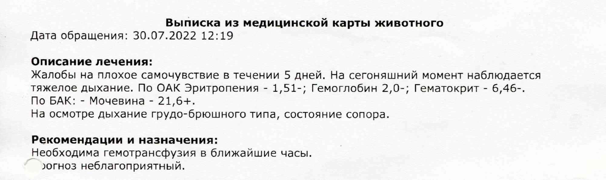 Кошка с подозрением на ВЛК - помогите разобраться с лечением - Заболевания.  Общие ветвопросы. - Форум Пес и Кот