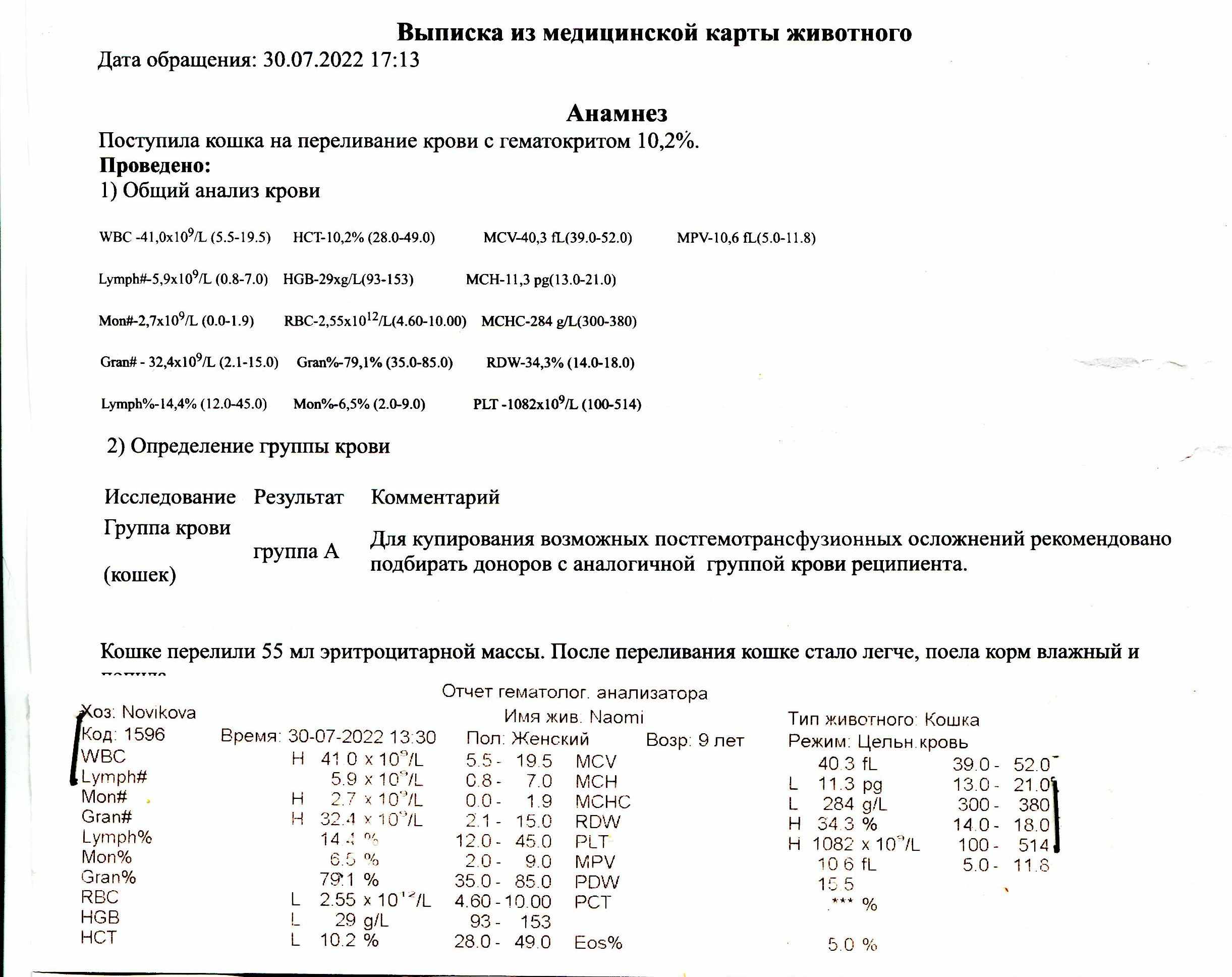 Кошка с подозрением на ВЛК - помогите разобраться с лечением - Заболевания.  Общие ветвопросы. - Форум Пес и Кот