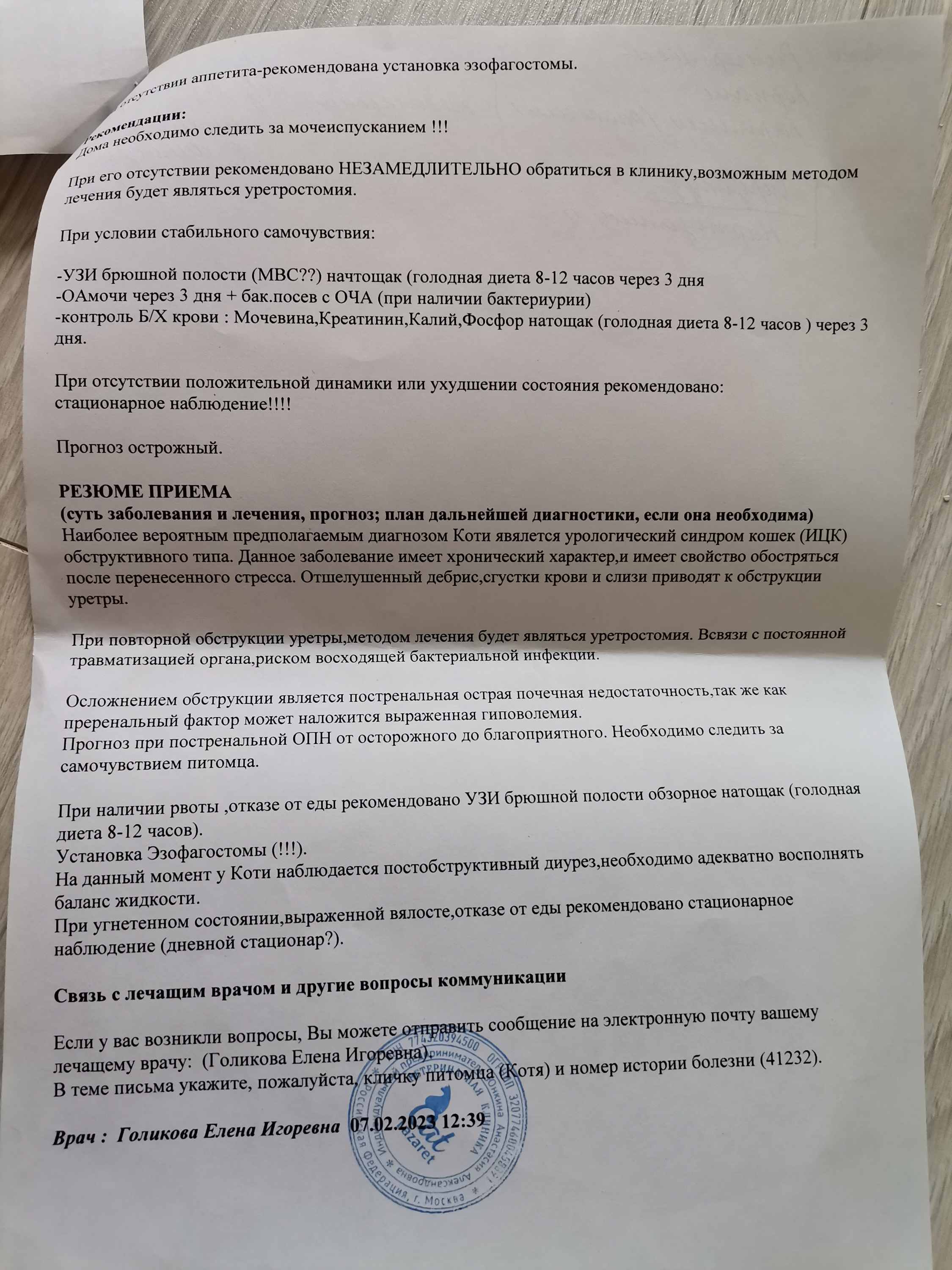 Срочно нужна консультация врача нефролога по анализам ! Завтра усыпление. -  Мемориал - Форум Пес и Кот