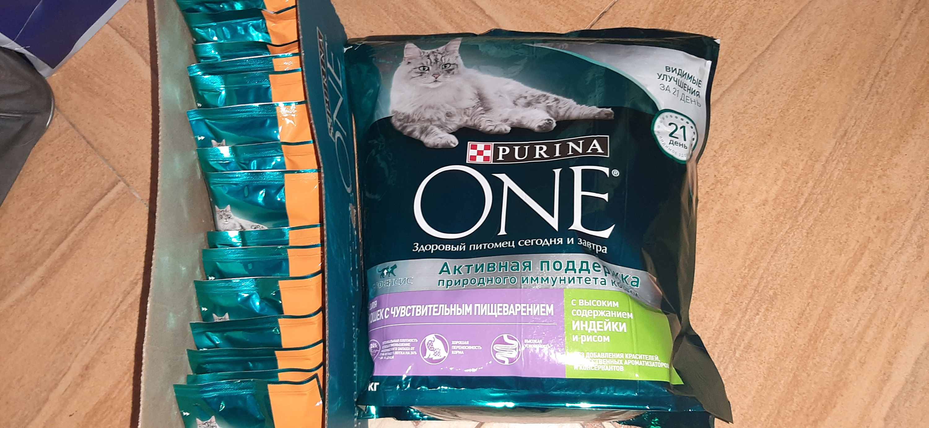 Кошка вислоушка, белая... На нежилых дачных участках, без еды и воды ...