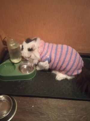 IMG-20231009-WA0011.jpg