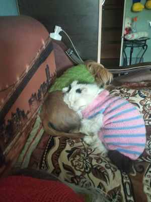 IMG-20231010-WA0014.jpg