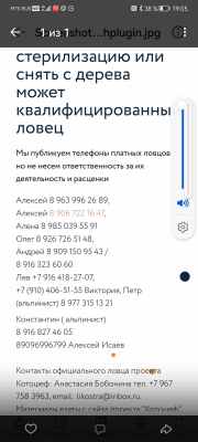 Screenshot_20231006_190546_com.vkontakte.android.jpg