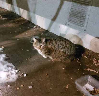 20240123_213806 2.jpg