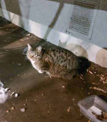 20240123_213830 2.jpg