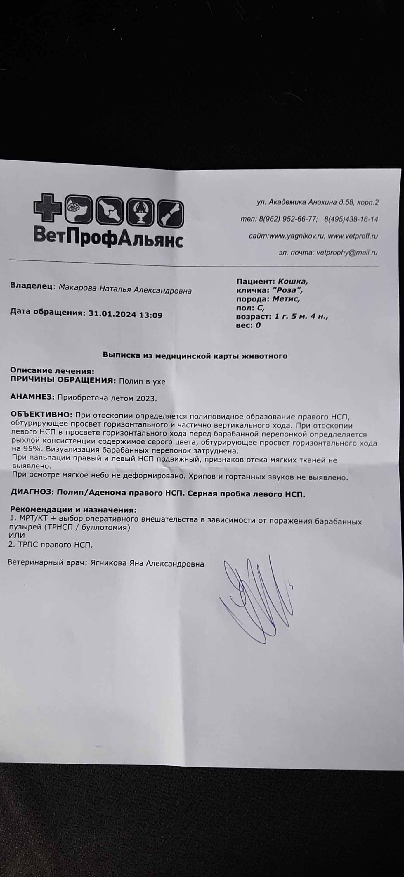 А у нас сегодня кошка родила вчера котят...подобрала беременную на ...