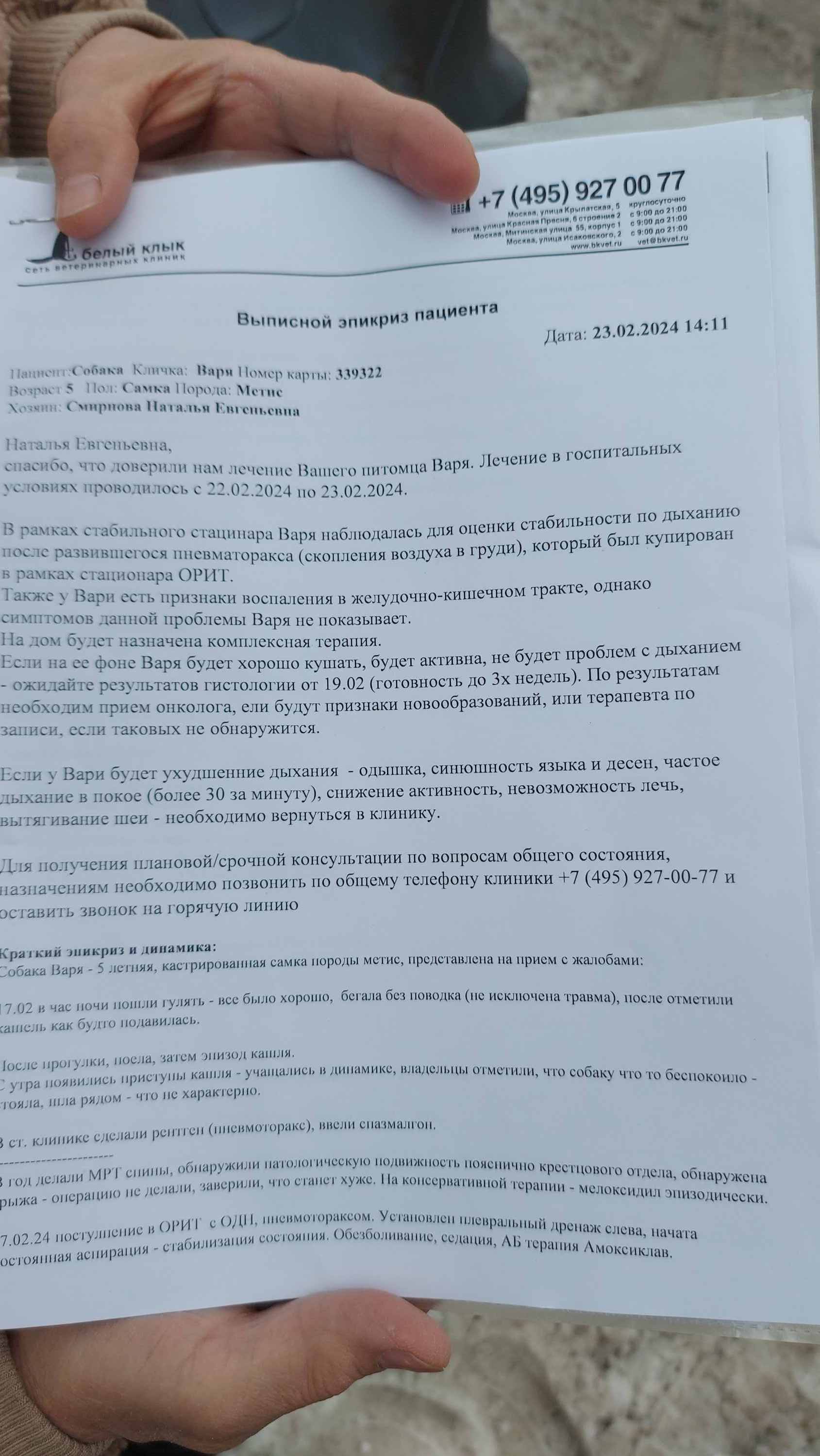 У Вари пневмоторакс. Операция прошла успешно. Помогите долечить! - сложные  судьбы - Форум Пес и Кот