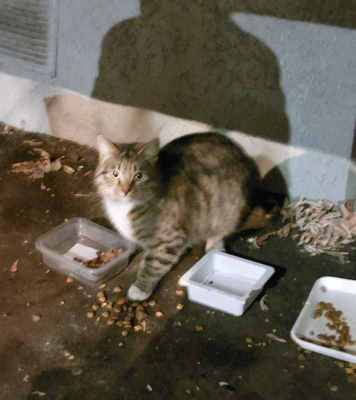 20240123_213632 2.jpg