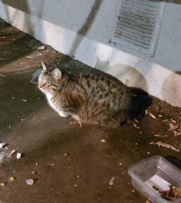 20240123_213746 2.jpg