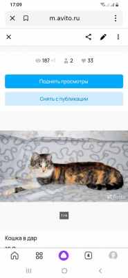 Screenshot_20240311-170913_Yandex Start.jpg
