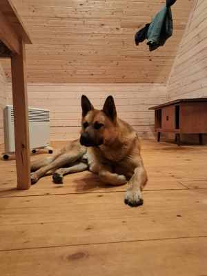 Изображение WhatsApp 2024-05-31 в 21.34.05_8f62ffc2.jpg