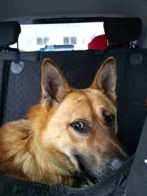 Изображение WhatsApp 2024-05-31 в 21.34.06_ab803955.jpg