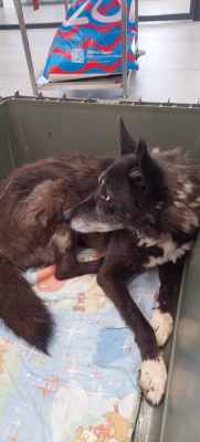 WhatsApp Image 2024-09-07 at 16.13.05 (1).jpeg