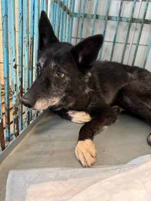 WhatsApp Image 2024-09-12 at 00.10.13.jpeg