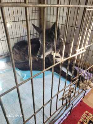 WhatsApp Image 2024-09-16 at 14.12.03.jpeg