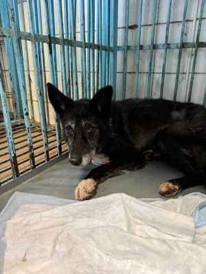 WhatsApp Image 2024-09-12 at 00.10.17.jpeg