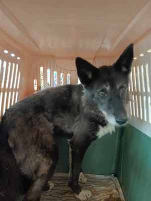 WhatsApp Image 2024-09-12 at 00.10.20.jpeg