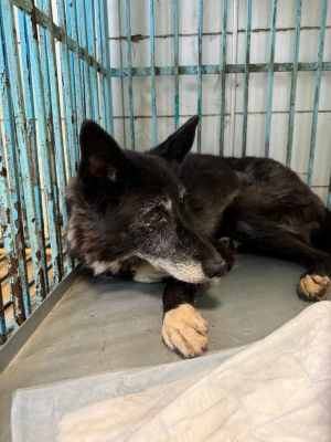 WhatsApp Image 2024-09-12 at 00.10.18.jpeg