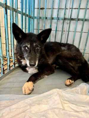 WhatsApp Image 2024-09-12 at 00.10.15 (1).jpeg