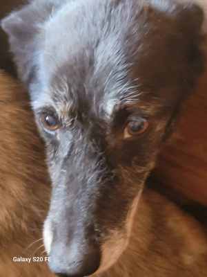 WhatsApp Image 2024-09-02 at 09.31.53 (1).jpeg