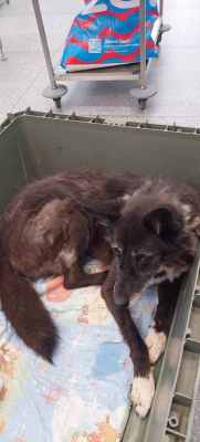 WhatsApp Image 2024-09-07 at 16.13.06 (2).jpeg