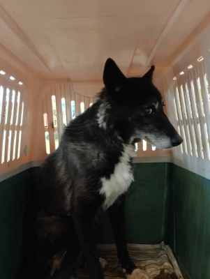 WhatsApp Image 2024-09-12 at 00.10.19 (1).jpeg