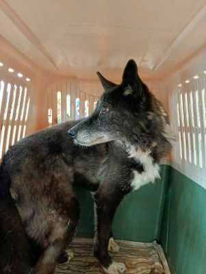 WhatsApp Image 2024-09-12 at 00.10.20 (1).jpeg