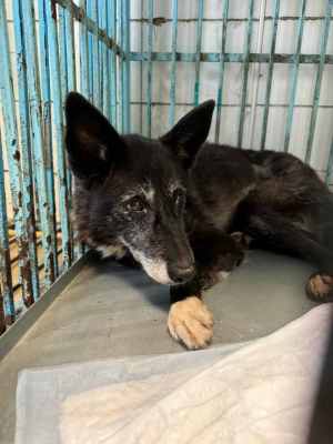 WhatsApp Image 2024-09-12 at 00.10.17 (3).jpeg