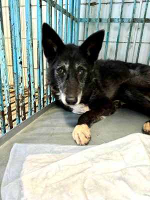 WhatsApp Image 2024-09-12 at 00.10.17 (1).jpeg