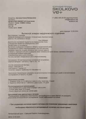 WhatsApp Image 2024-09-12 at 00.10.27.jpeg