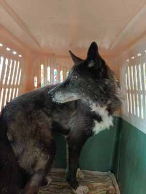 WhatsApp Image 2024-09-12 at 00.10.18 (1).jpeg