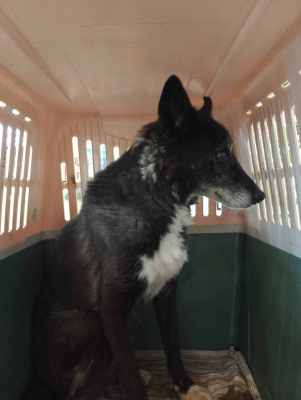 WhatsApp Image 2024-09-12 at 00.10.19.jpeg