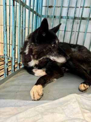 WhatsApp Image 2024-09-12 at 00.10.15.jpeg