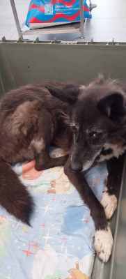 WhatsApp Image 2024-09-07 at 16.13.05.jpeg