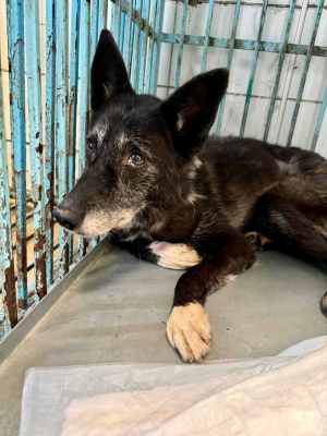 WhatsApp Image 2024-09-12 at 00.10.16.jpeg