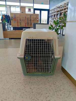 WhatsApp Image 2024-09-12 at 00.10.21.jpeg