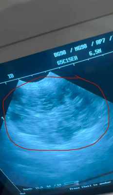 WhatsApp Image 2024-09-02 at 09.33.23.jpeg