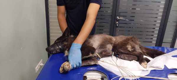 WhatsApp Image 2024-09-07 at 15.34.27 (1).jpeg