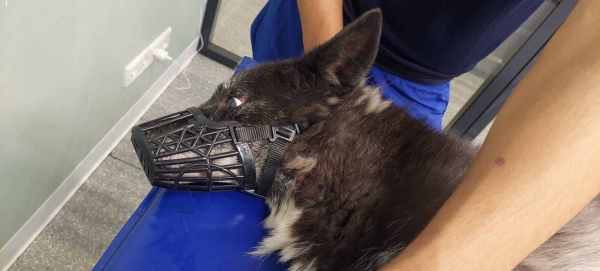 WhatsApp Image 2024-09-07 at 15.34.27.jpeg