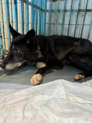 WhatsApp Image 2024-09-12 at 00.10.17 (2).jpeg