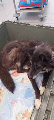 WhatsApp Image 2024-09-07 at 16.13.06 (1).jpeg