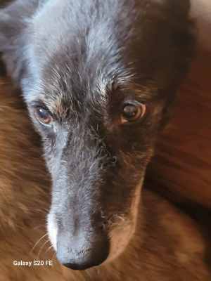 WhatsApp Image 2024-09-02 at 09.31.52 (1).jpeg