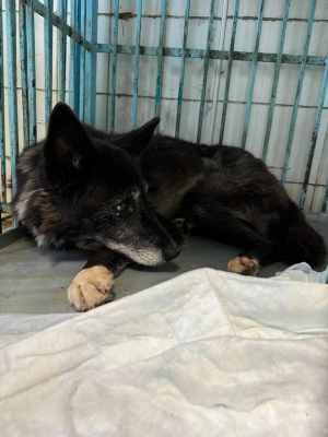 WhatsApp Image 2024-09-12 at 00.10.16 (1).jpeg