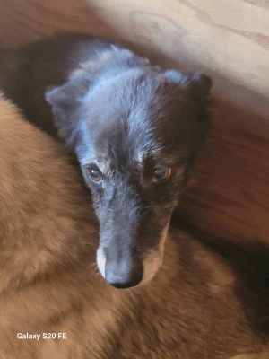 WhatsApp Image 2024-09-02 at 09.31.53.jpeg