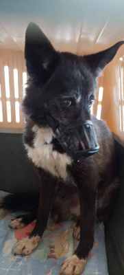 WhatsApp Image 2024-09-07 at 15.01.02.jpeg